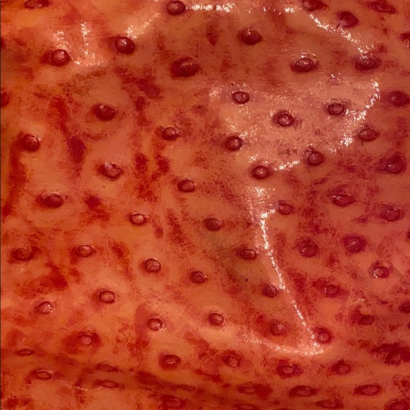 Watermelon Bag 🍉 - Picture 4 of 7